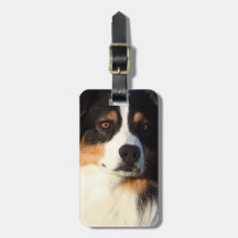 Australian Shepherd Tags For Luggage