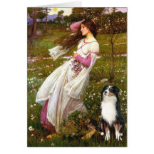 Australian Shepherd (Tri) - Windflowers Cards