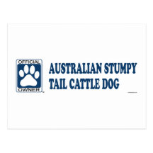 Australian Stumpy Tail Cattle Dog Blue Postcard