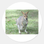 Australian Wallaby Stickers