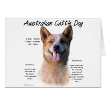 AustralianCattle Dog (redspec) History Design Cards