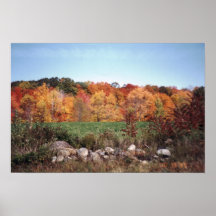 Autum In New York Poster