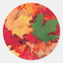 autumn (15) round sticker