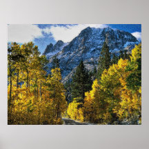 Autumn 32 bumped poster