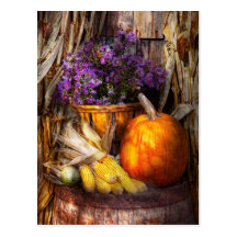 Autumn - Autumn is festive Postcard