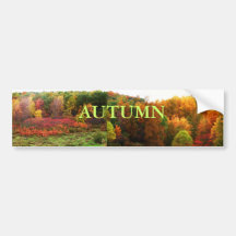 AUTUMN BUMPERSTICKER BUMPER STICKERS