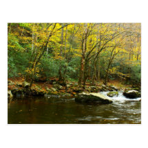 Autumn Colours in Great Smoky Mountains Postcards