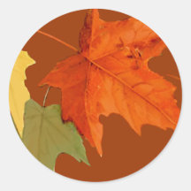 Autumn Colours Sticker