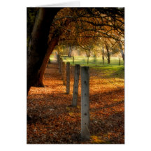 Autumn Day II Greeting Card