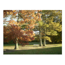 Autumn Day Postcard