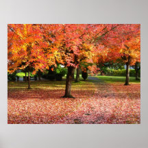 Autumn Day Posters
