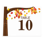 Autumn Falling Leaves Table Number Card Post Card