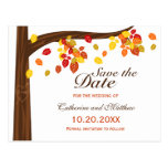 Autumn Falling Leaves Wedding Save The Date Post Card