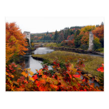 Autumn Foliage Postcard