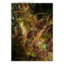 Autumn Forest Floor Card