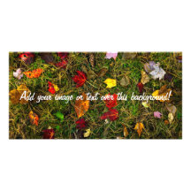 Autumn forest floor photo card