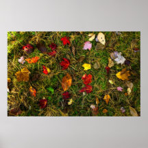 Autumn forest floor print