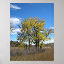Autumn Gold Print