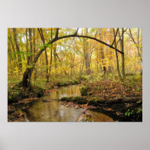 Autumn gold poster