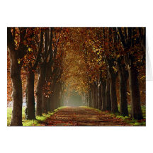 autumn greeting cards