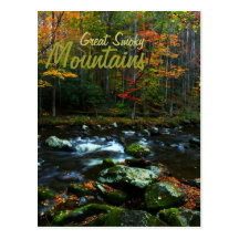 Autumn in Great Smoky Mountains Postcards
