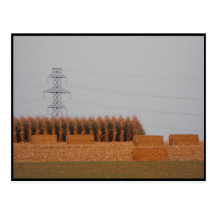 ~ Autumn in Lancaster County ~ 30 Post Cards