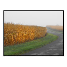 ~ Autumn in Lancaster County ~ 32 Post Cards