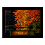 Autumn In New England Thank You postcards