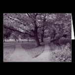 Autumn in the Park - Purple Toned BW cards