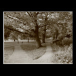 Autumn in the Park - Sepia Toned BW postcards