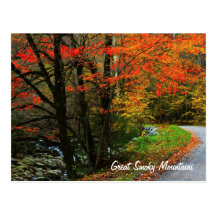 Autumn in Tremont - Great Smoky Mountains Post Card