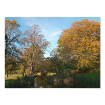 Autumn Landscape, Bute Park, Cardiff Photographic Print