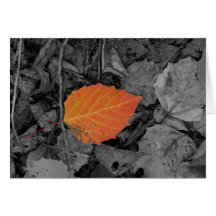 Autumn Leaf Greeting Cards
