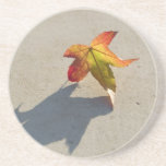 Autumn Leaf with Shadow Drink Coasters