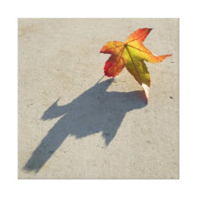 Autumn Leaf with Shadow Stretched Canvas Print