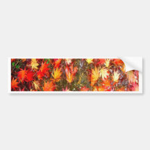 AUTUMN LEAVES BUMPER STICKER