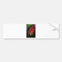 autumn leaves bumper sticker