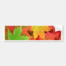 AUTUMN LEAVES BUMPER STICKER