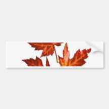 AUTUMN LEAVES BUMPER STICKER
