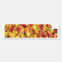 AUTUMN LEAVES BUMPER STICKER