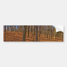 Autumn Leaves Bumper Stickers