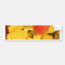 AUTUMN LEAVES BUMPER STICKERS