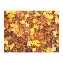 Autumn Leaves Stretched Canvas Print