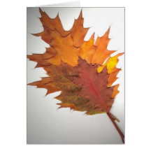 Autumn Leaves Card