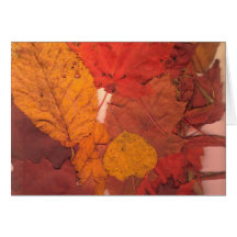 Autumn Leaves Card