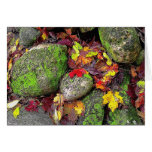 Autumn Leaves,Field Stones, Greeting Card