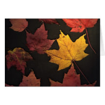 Autumn Leaves Greeting Card