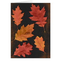 Autumn Leaves Greeting Card
