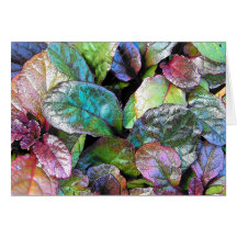 autumn leaves greeting cards