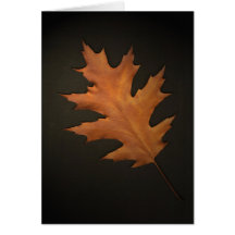 Autumn Leaves Greeting Cards